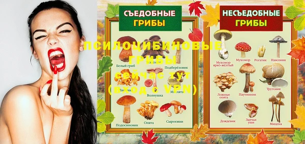 первитин Дмитров