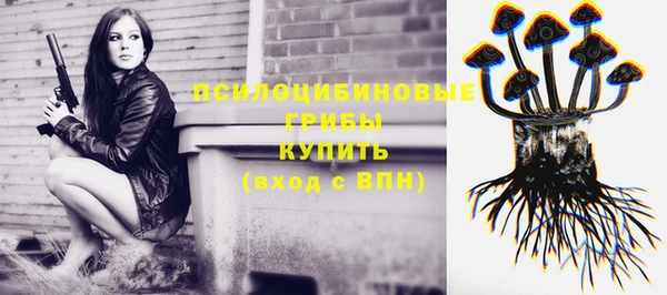 стафф Алексеевка