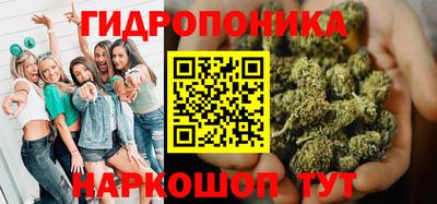 стафф Можга