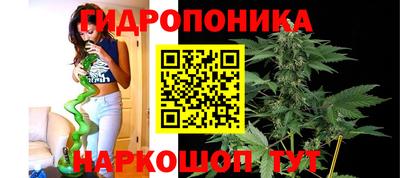 твердый Моздок