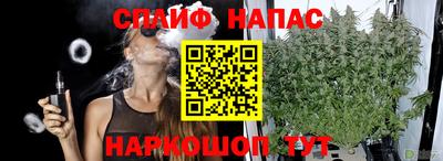 твердый Моздок