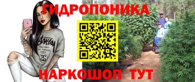 твердый Моздок