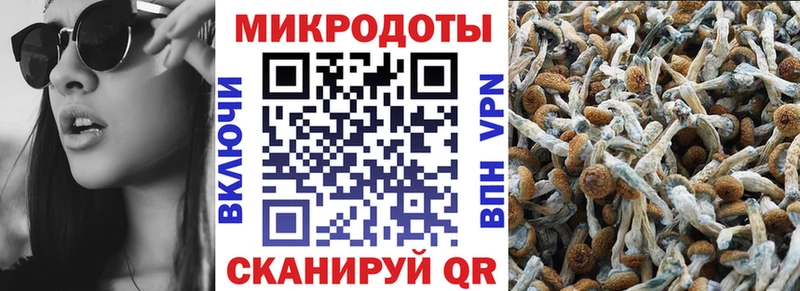 гидра ТОР  Балашов  Псилоцибиновые грибы мухоморы 