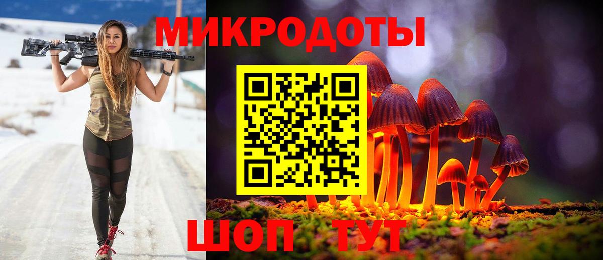 Псилоцибиновые грибы Cubensis Балашов