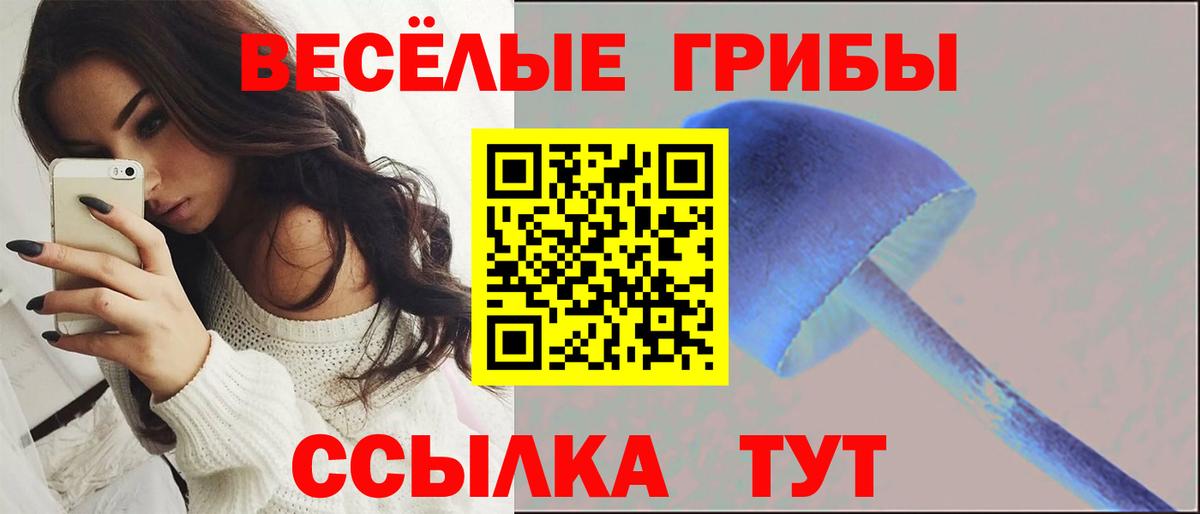 Балашов  Галлюциногенные грибы прущие грибы  Вход с VPN 